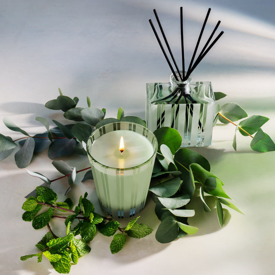 Wild Mint & Eucalyptus Classic Candle